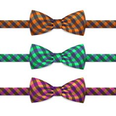 Vector Bow Tie Bowtie Set Isolated on White