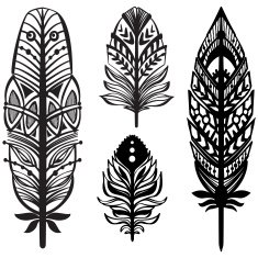Set of ethnic tribal feathers N2