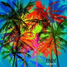 palm beach N9