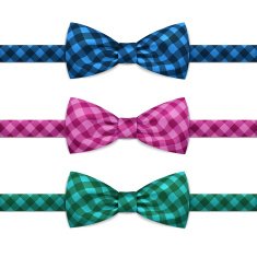 Vector Bow Tie Bowtie Set Isolated on White N2