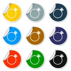 Ring vector icon N3