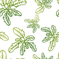Seamless exotic pattern with tropical leaves on a white background