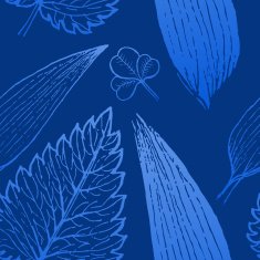 Seamless exotic pattern with tropical leaves on a white background N2