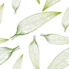 vector painting of green grass seamless pattern background N3