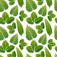 vector painting of green grass seamless pattern background N4