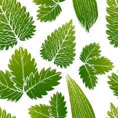 vector painting of green grass seamless pattern background N5