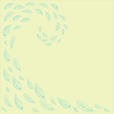 plumage N3
