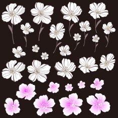 flower material N23