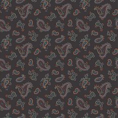 Paisley pattern N122