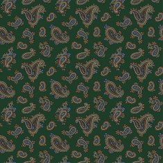 Paisley pattern N124