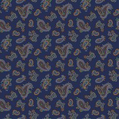 Paisley pattern N128