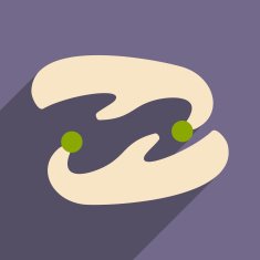 Flat with shadow icon and mobile application ancient shoes