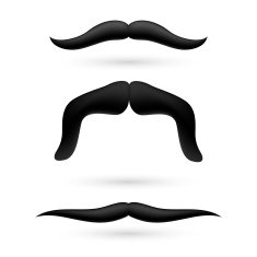 set of three moustache N3