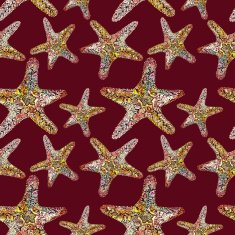 Rich Pattern with Starfish