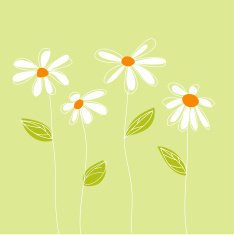 Floral Greeting Card N24
