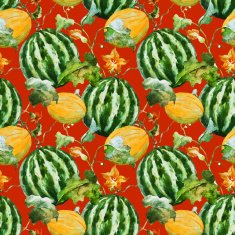 Watercolor watermelon melon pattern N7