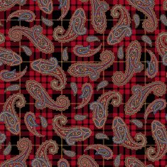 Paisley pattern N137