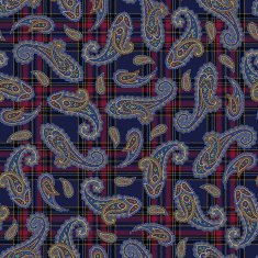 Paisley pattern N138