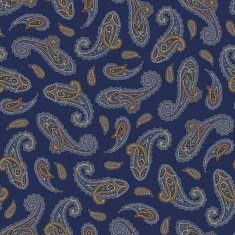 Paisley pattern N144