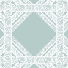Lacy vintage background N6