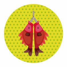 Chinese New Year theme elements fish lucky pendant mean N3