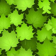 Green Leaves on Seamless Background