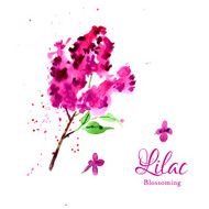 Branch lilac watercolor painted hands N2