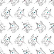 Maine coon pattern N4