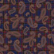 Paisley pattern N170
