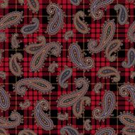 Paisley pattern N171