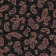 Paisley pattern N172