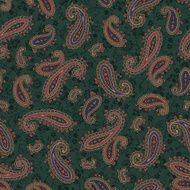Paisley pattern N173