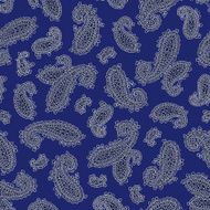 Paisley pattern N175