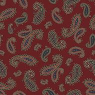 Paisley pattern N178