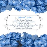 Wedding invitation with hydrangea for your design Vector
