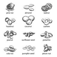 vector nuts set N2