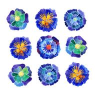 Blue Flowers N8