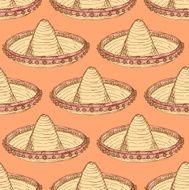 Sketch mexican sombrero in vintage style N2