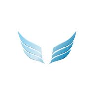 vector 3d abstract wing flying logo for company N2
