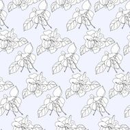 fuchsia pattern N4