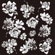 flower material N30