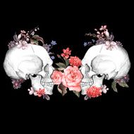 Roses and Skull Day of The Dead Vector illustration N2
