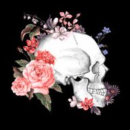 Roses and Skull Day of The Dead Vector illustration N4