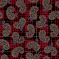 Paisley pattern N187