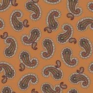 Paisley pattern N190