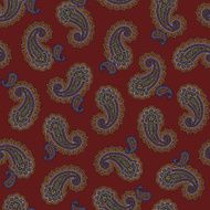 Paisley pattern N192