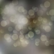 Blurred background with bokeh effect N23