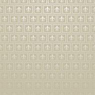Wallpaper Background Silver N14