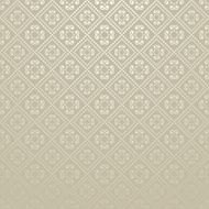 Wallpaper Background Silver N19