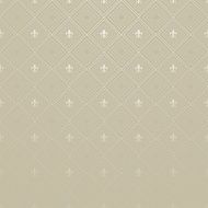 Wallpaper Background Silver N21